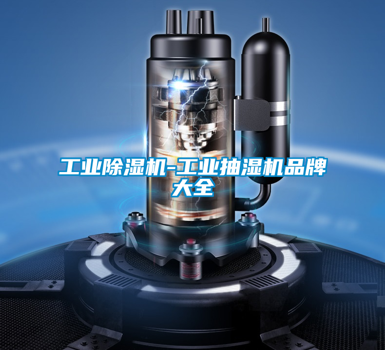 工业香蕉福利视频机-工业抽湿机品牌大全