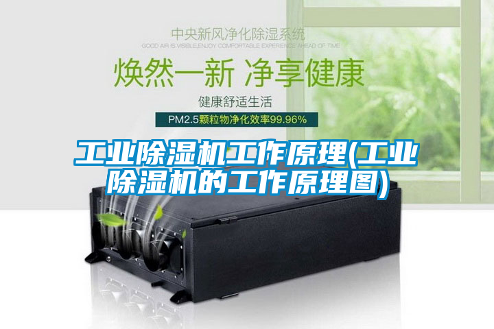 工业香蕉福利视频机工作原理(工业香蕉福利视频机的工作原理图)