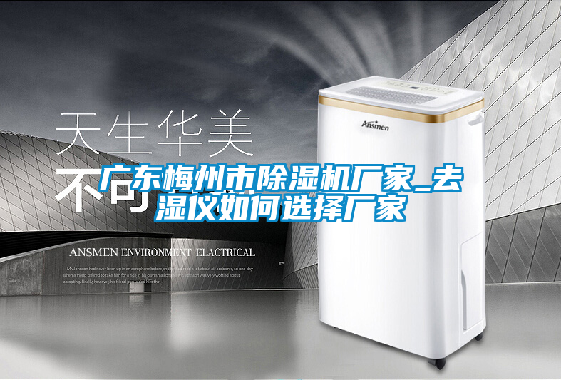 广东梅州市香蕉福利视频机厂家_去湿仪如何选择厂家