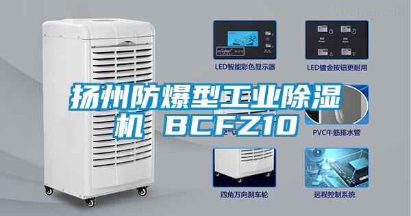 扬州防爆型工业香蕉福利视频机 BCFZ10