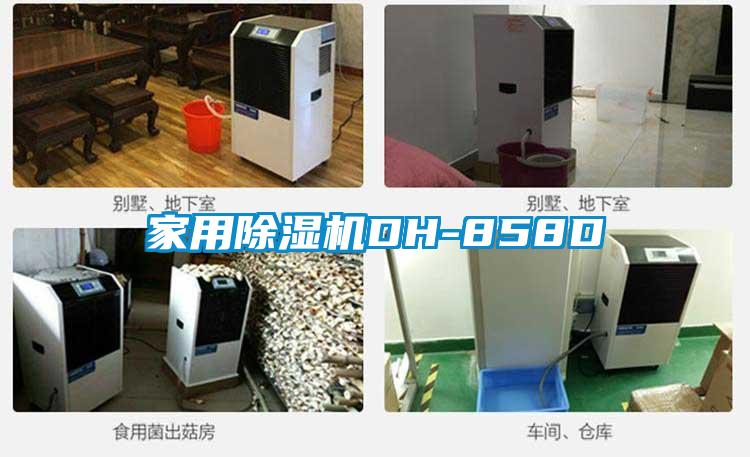 家用香蕉福利视频机DH-858D