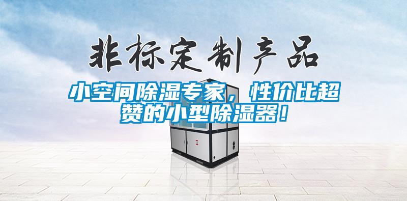 小空间香蕉福利视频专家，性价比超赞的小型香蕉福利视频器！