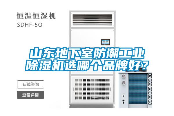 山东地下室防潮工业香蕉福利视频机选哪个品牌好？