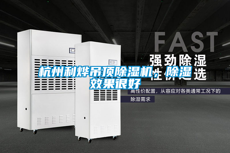 杭州利烨吊顶香蕉福利视频机，香蕉福利视频效果很好