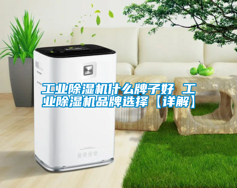 工业香蕉福利视频机什么牌子好 工业香蕉福利视频机品牌选择【详解】