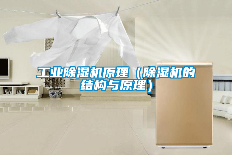 工业香蕉福利视频机原理（香蕉福利视频机的结构与原理）