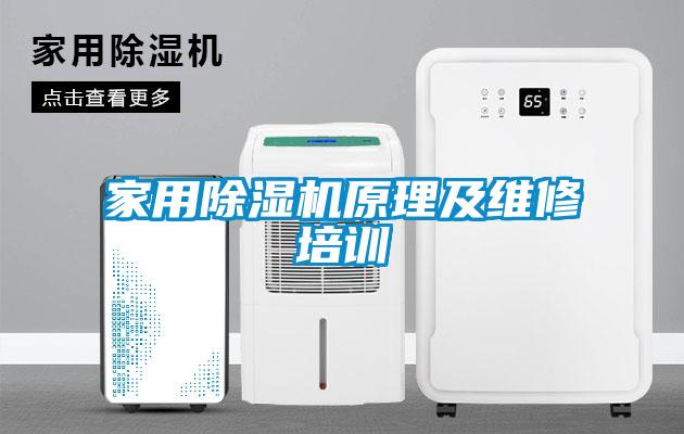 家用香蕉福利视频机原理及维修培训