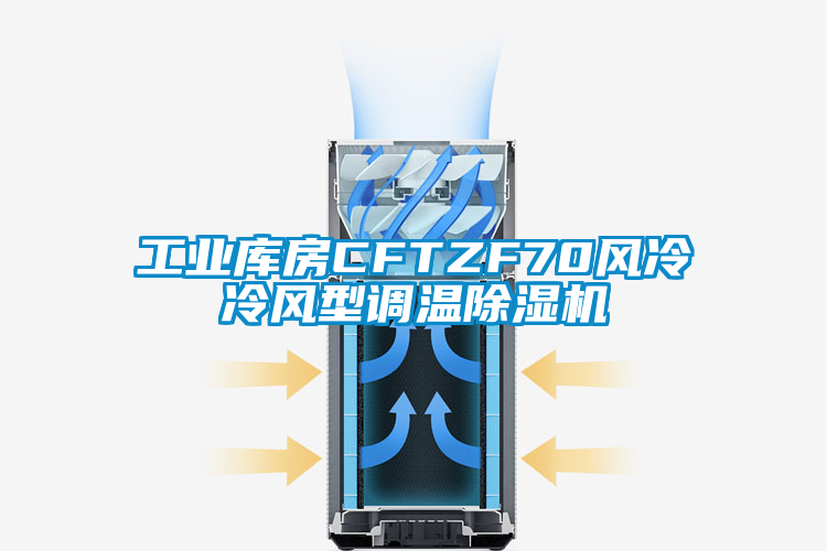 工业库房CFTZF70风冷冷风型调温香蕉福利视频机