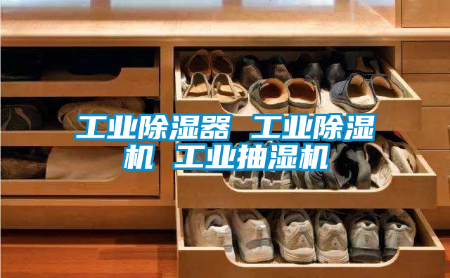 工业香蕉福利视频器 工业香蕉福利视频机 工业抽湿机