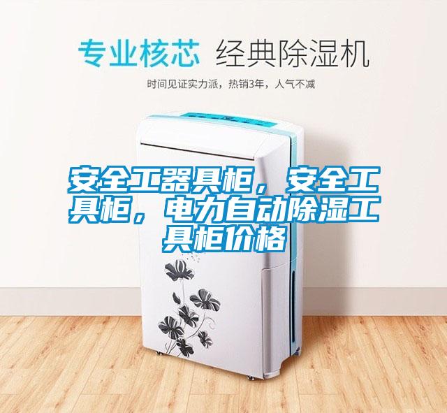 安全工器具柜，安全工具柜，电力自动香蕉福利视频工具柜价格