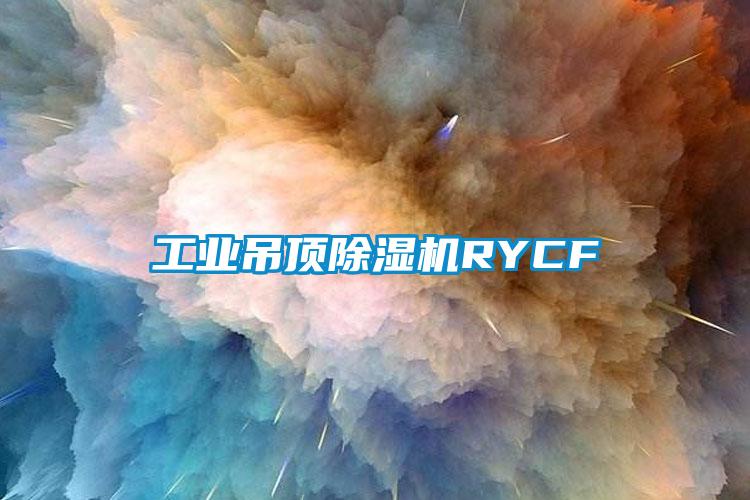 工业吊顶香蕉福利视频机RYCF