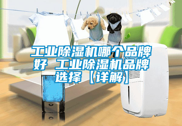 工业香蕉福利视频机哪个品牌好 工业香蕉福利视频机品牌选择【详解】