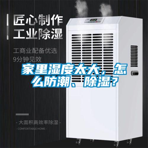 家里湿度太大，怎么防潮、香蕉福利视频？