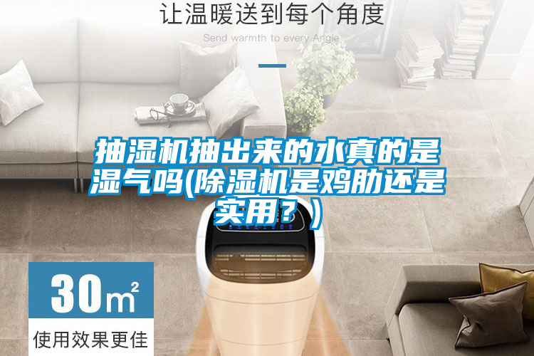 抽湿机抽出来的水真的是湿气吗(香蕉福利视频机是鸡肋还是实用？)