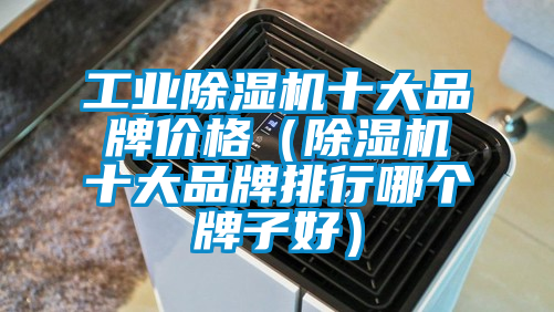 工业香蕉福利视频机十大品牌价格（香蕉福利视频机十大品牌排行哪个牌子好）