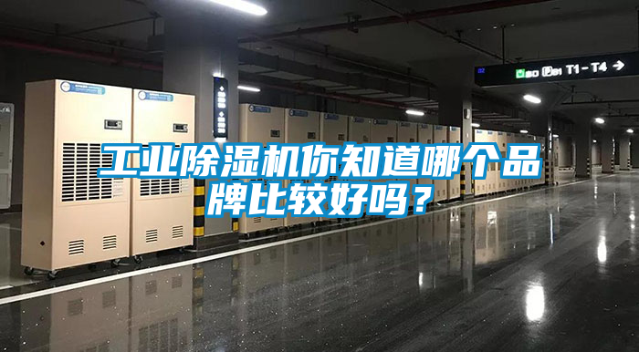 工业香蕉福利视频机你知道哪个品牌比较好吗？