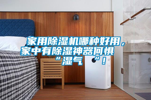 家用香蕉福利视频机哪种好用，家中有香蕉福利视频神器何惧 “湿气 “！