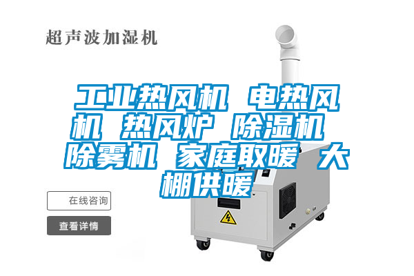 工业热风机 电热风机 热风炉 香蕉福利视频机 除雾机 家庭取暖 大棚供暖
