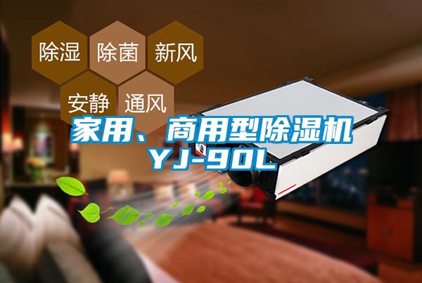 家用、商用型香蕉福利视频机YJ-90L