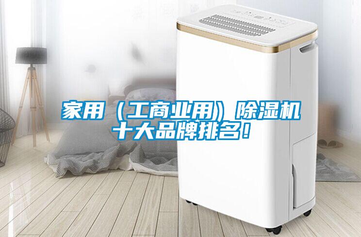 家用（工商业用）香蕉福利视频机十大品牌排名！