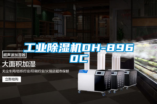 工业香蕉福利视频机DH-8960C