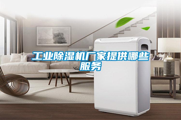 工业香蕉福利视频机厂家提供哪些服务