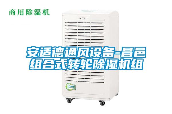 安适德通风设备-昌邑组合式转轮香蕉福利视频机组
