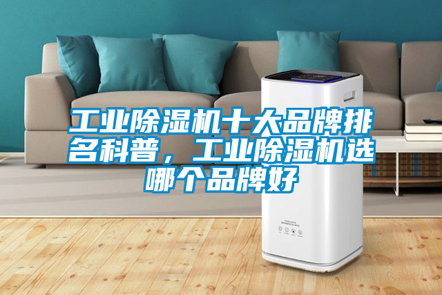 工业香蕉福利视频机十大品牌排名科普，工业香蕉福利视频机选哪个品牌好