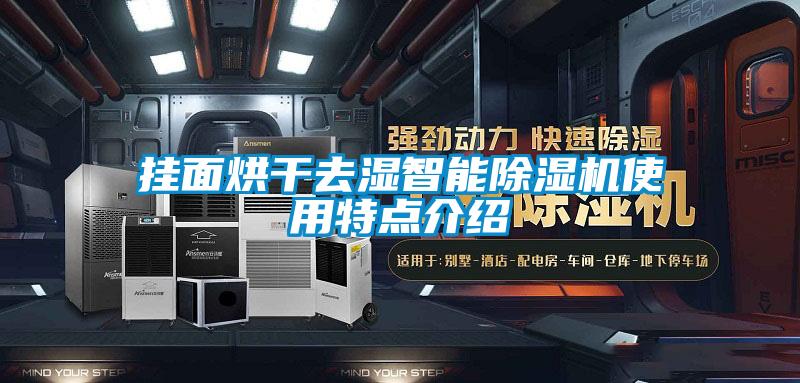 挂面烘干去湿智能香蕉福利视频机使用特点介绍