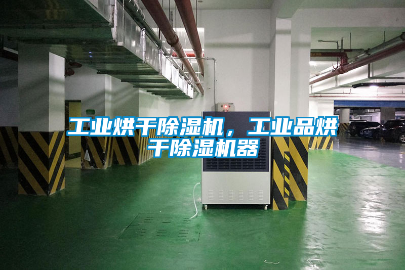 工业烘干香蕉福利视频机，工业品烘干香蕉福利视频机器