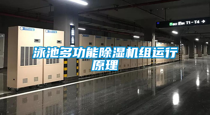 泳池多功能香蕉福利视频机组运行原理