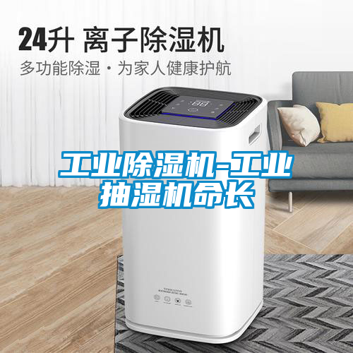 工业香蕉福利视频机-工业抽湿机命长
