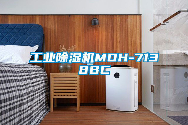 工业香蕉福利视频机MOH-7138BC