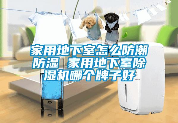家用地下室怎么防潮防湿 家用地下室香蕉福利视频机哪个牌子好