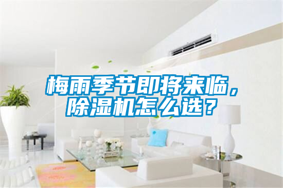 梅雨季节即将来临，香蕉福利视频机怎么选？