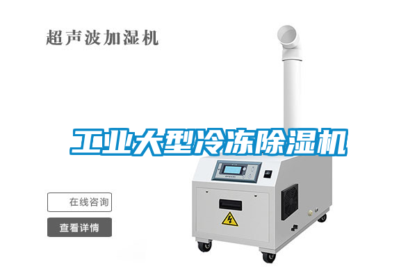 工业大型冷冻香蕉福利视频机