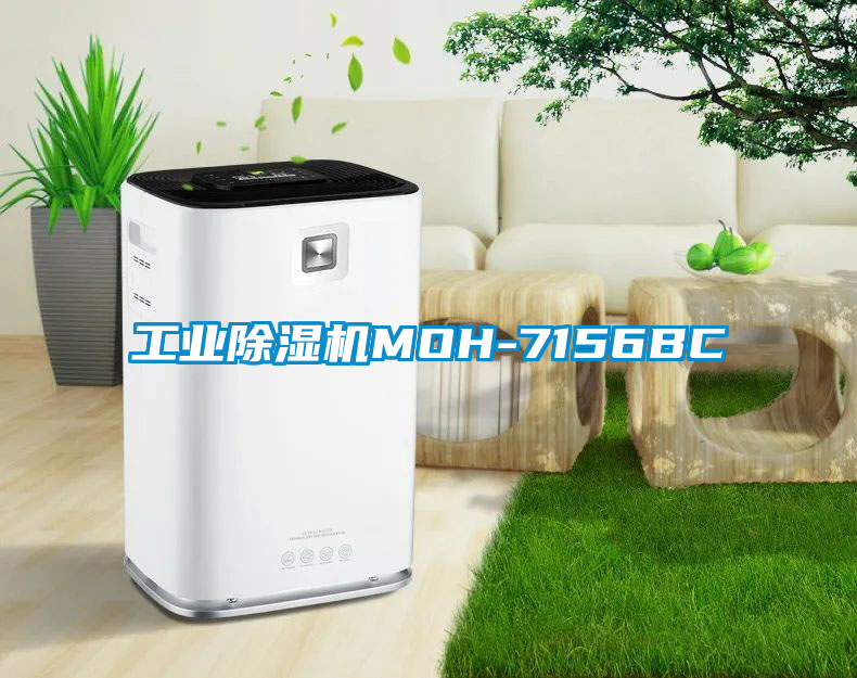 工业香蕉福利视频机MOH-7156BC