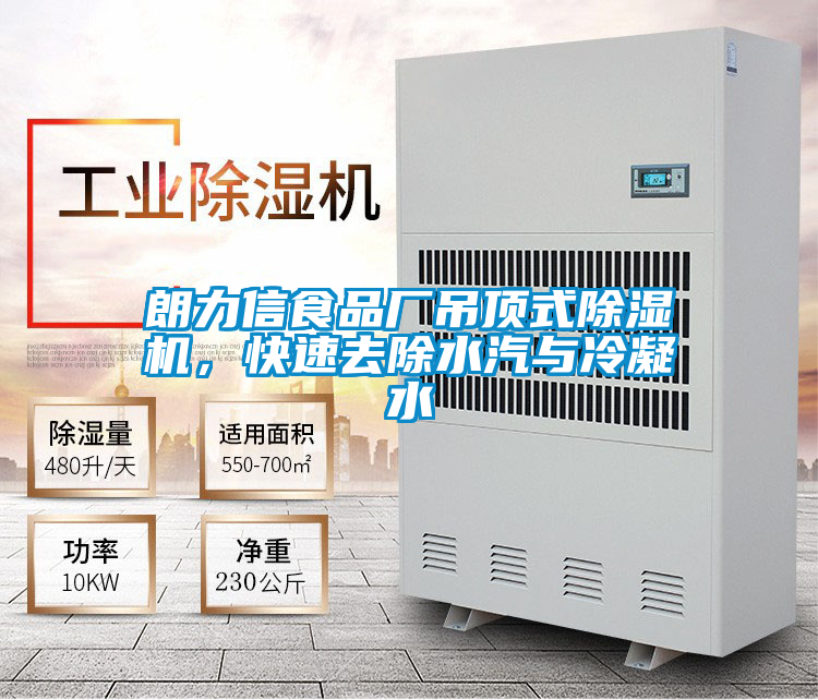 朗力信食品厂吊顶式香蕉福利视频机，快速去除水汽与冷凝水