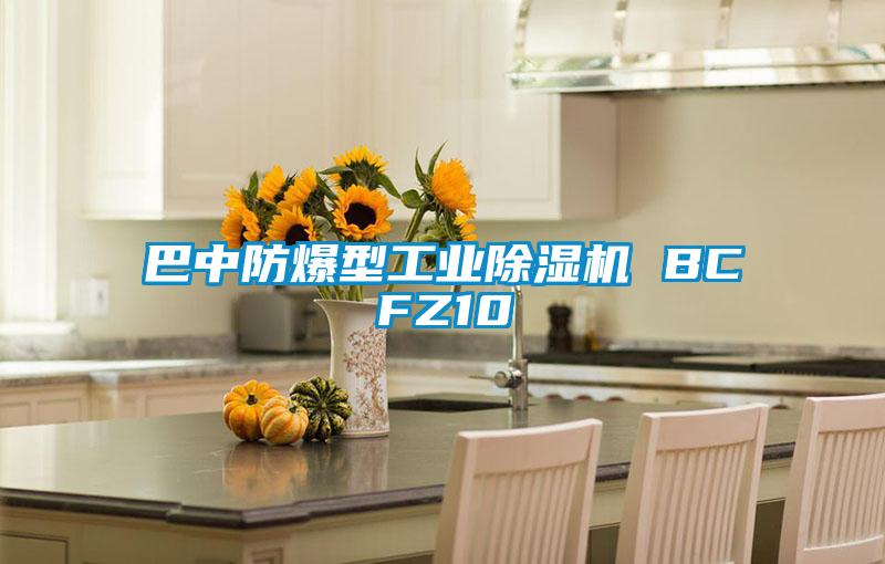 巴中防爆型工业香蕉福利视频机 BCFZ10