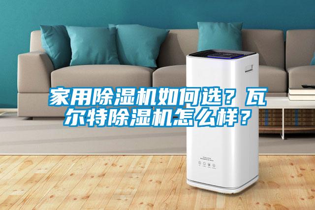 家用香蕉福利视频机如何选？瓦尔特香蕉福利视频机怎么样？