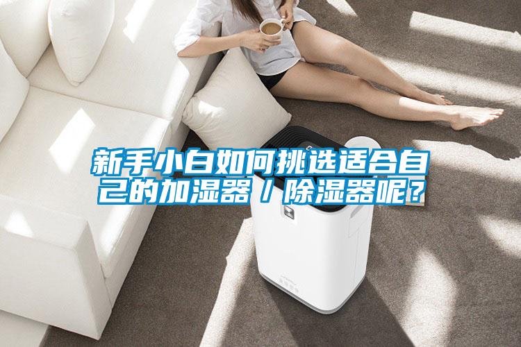 新手小白如何挑选适合自己的加湿器／香蕉福利视频器呢？