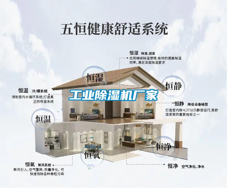 工业香蕉福利视频机厂家