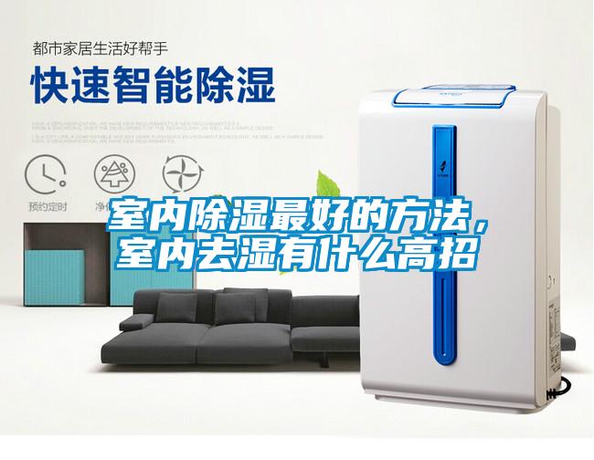 室内香蕉福利视频最好的方法，室内去湿有什么高招