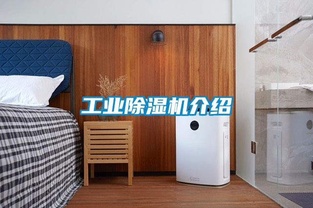 工业香蕉福利视频机介绍