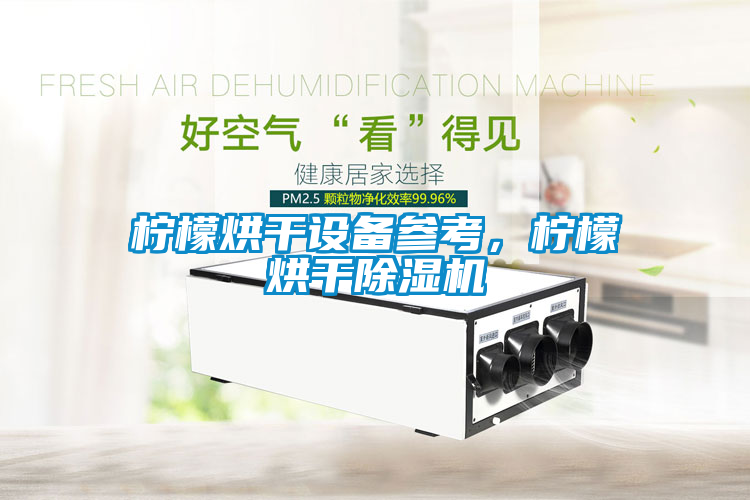 柠檬烘干设备参考，柠檬烘干香蕉福利视频机