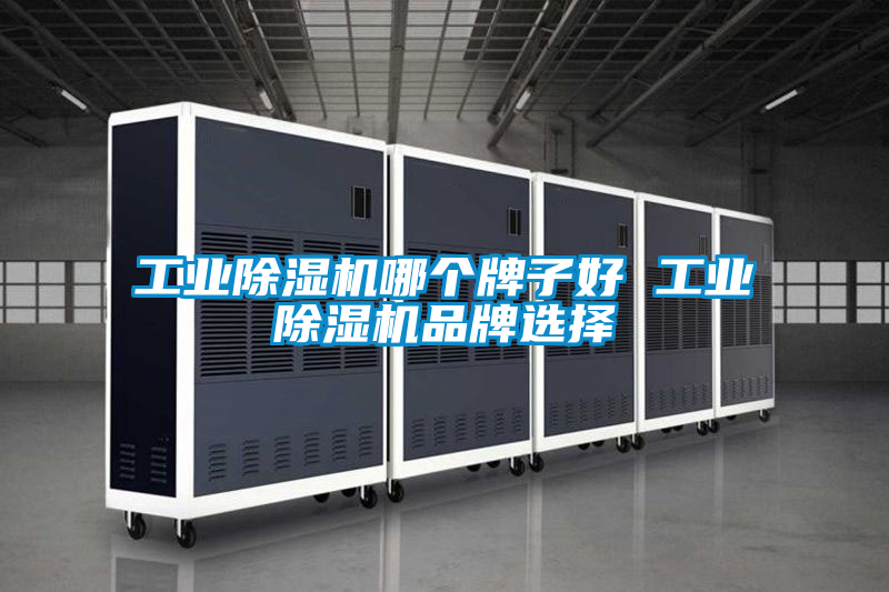 工业香蕉福利视频机哪个牌子好 工业香蕉福利视频机品牌选择