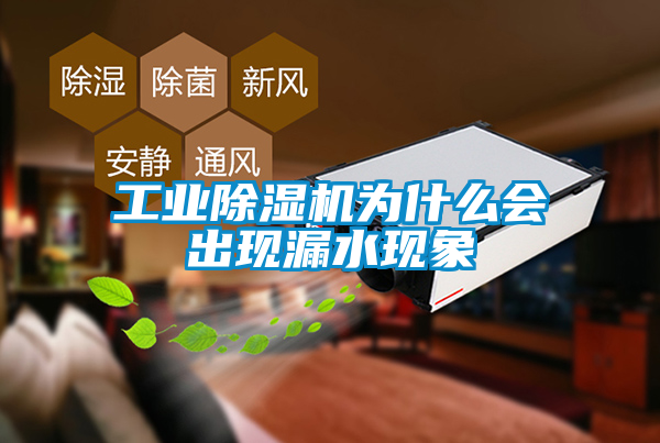 工业香蕉福利视频机为什么会出现漏水现象