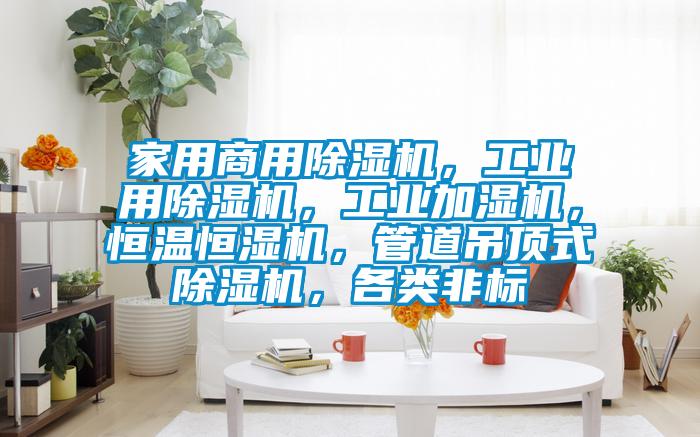 家用商用香蕉福利视频机，工业用香蕉福利视频机，工业加湿机，恒温恒湿机，管道吊顶式香蕉福利视频机，各类非标