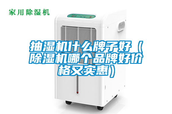 抽湿机什么牌子好（香蕉福利视频机哪个品牌好价格又实惠）