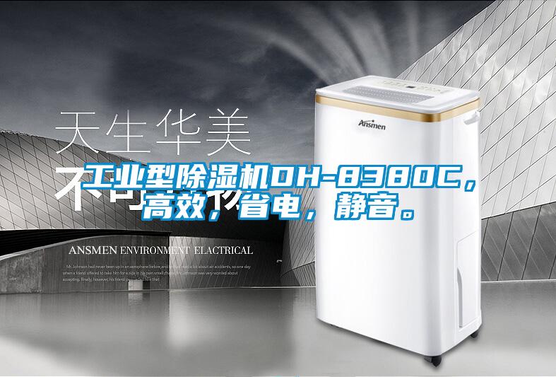 工业型香蕉福利视频机DH-8380C，高效，省电，静音。